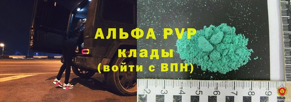 эйфоретик Баксан