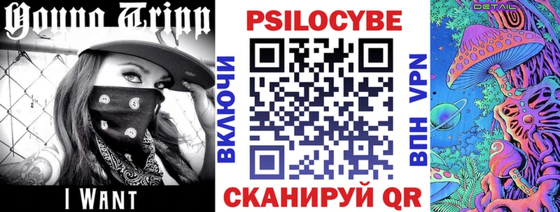 Псилоцибиновые грибы GOLDEN TEACHER  наркотики  kraken зеркало  Хадыженск 